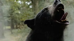 Задник до фильму"Ведмідь під кайфом" #718949