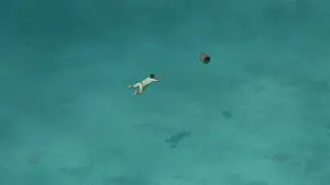 Задник до фильму"Червона черепаха" #211919