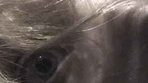 Задник до фильму"" #637955