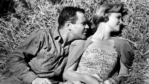 Задник до фильму"Дні вина й троянд" #456737