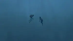 Задник до фильму"Червона черепаха" #211936