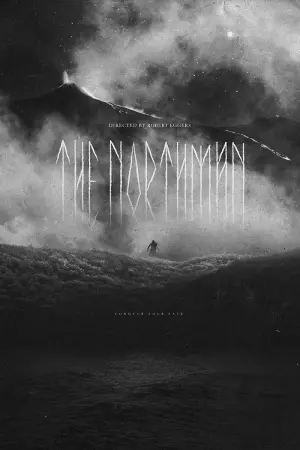 Постер до фильму"Варяг" #26099