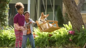 Задник до фильму"Життя і мета собаки" #204547