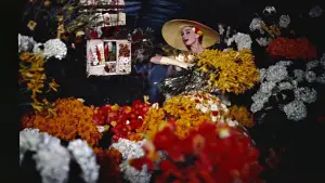 Задник до фильму"Забавне личко" #711334