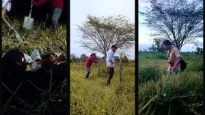 Задник до фильму"" #746022