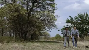 Задник до фильму"Ізгої" #648878