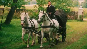 Задник до фильму"" #726852