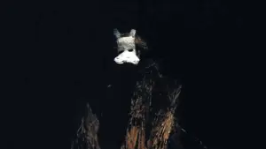 Задник до фильму"Край очерету" #790223