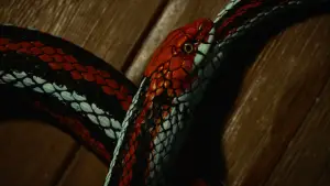 Задник до фильму"" #584079