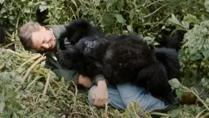 Задник до фильму"A Gorilla Story: Told by David Attenborough" #776261