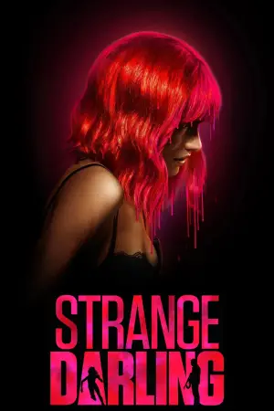 Постер до фильму"Переслідувач" #683572