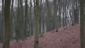 Задник до фильму"" #418397