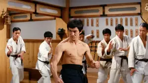 Задник до фильму"Шалений кулак" #801821