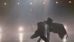 Задник до фильму"Чорний лебідь" #595772