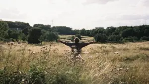 Задник до фильму"" #610253