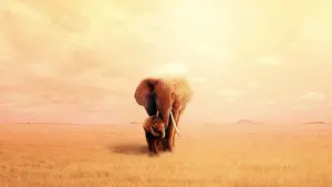 Задник до фильму"Королева слонів" #423849