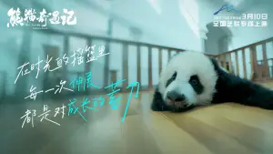 Задник до фильму"熊猫奇遇记" #774037