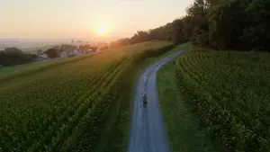 Задник до фильму"" #447113