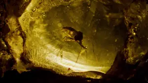 Задник до фильму"Парк Юрського періоду" #598020