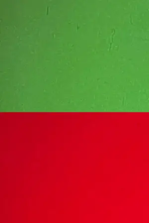 Постер до фільму "Tortured Dust Part 4"