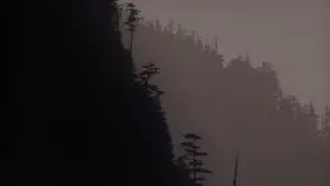 Задник до фильму"Твін-Пікс: Вогню, іди зі мною" #643227