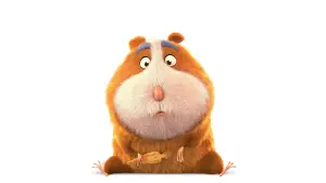 Задник до фильму"«Зоологічне» печиво" #343253