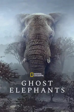Постер до фильму"Ghost Elephants" #764755
