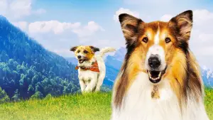 Задник до фильму"Lassie - Ein neues Abenteuer" #760301