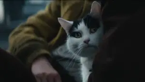 Задник до фильму"Тихе місце: День перший" #563298