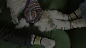 Задник до фильму"Зустрінь мене у світлі надії" #783488