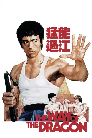 Постер до фильму"Шлях дракона" #745729