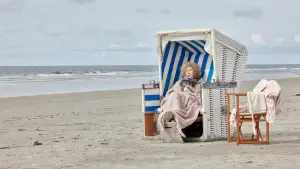 Задник до фильму"Fast perfekte Frauen" #796952