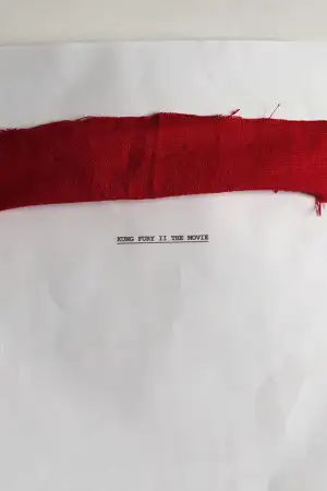 Постер до фильму"Кунґ Ф’юрі 2" #811833