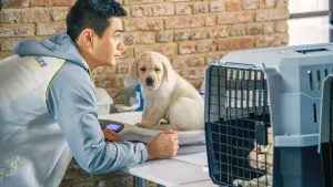 Задник до фильму"" #495346