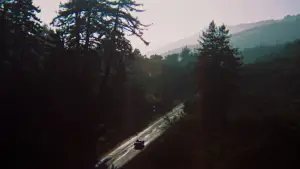 Задник до фильму"Випускник" #801907