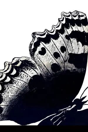 Колекціонер