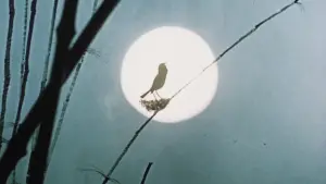 Задник до фильму"" #733529