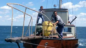 Задник до фильму"Щелепи" #521048