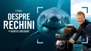 Задник до фильму"Sharks Up Close with Bertie Gregory" #793011