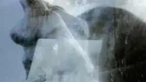 Задник до фильму"" #715366