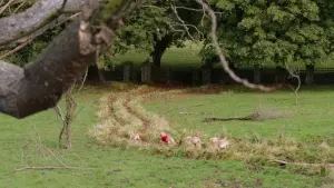 Задник до фильму"" #428680