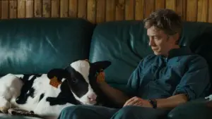 Задник до фильму"" #700487