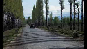 Задник до фильму"" #388719