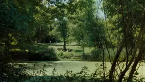 Задник до фильму"Маестро" #664817