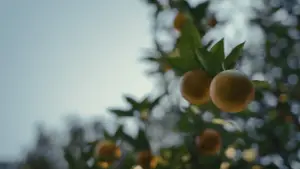 Задник до фильму"" #598722