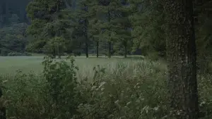 Задник до фильму"" #539083