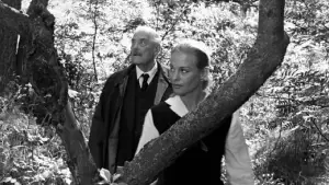 Задник до фильму"Сунична галявина" #750359