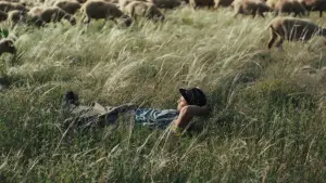 Задник до фильму"" #684527