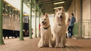 Задник до фильму"" #703498