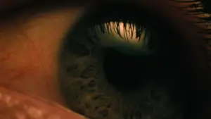 Задник до фильму"Омен: Початок" #596790